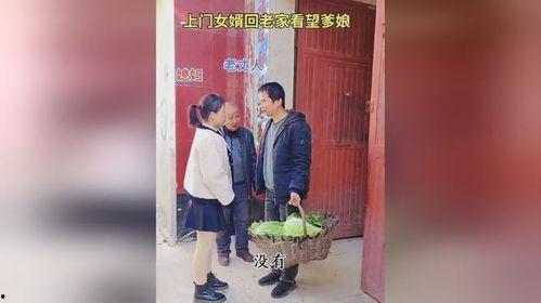 特种上门女婿,特种上门女婿的甜蜜生活