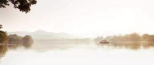 此心安处是吾乡