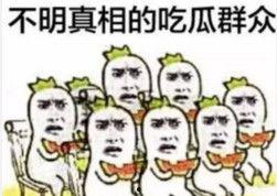 微信表情吃瓜吃瓜是什么意思